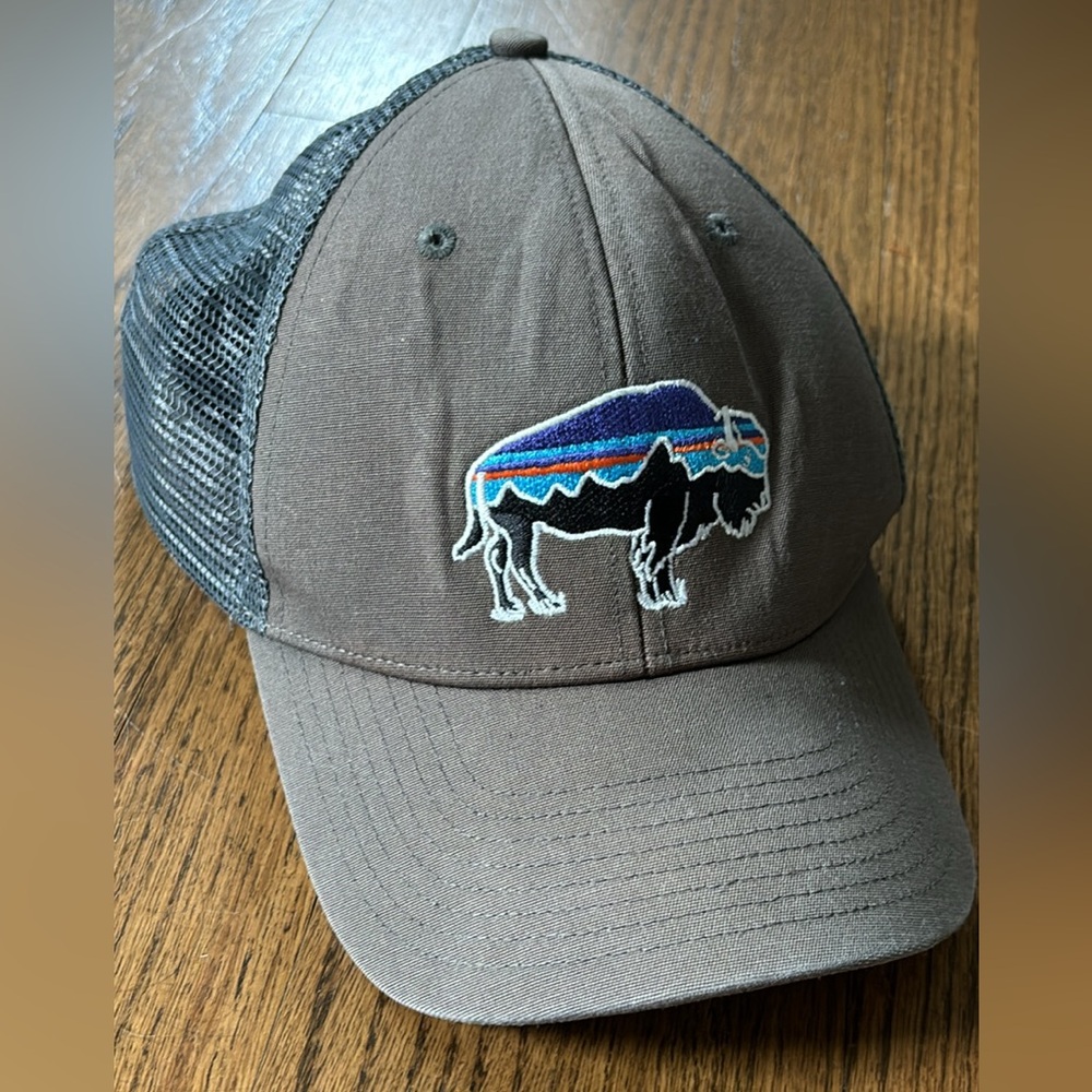 Patagonia Bison Trucker Hat Gray